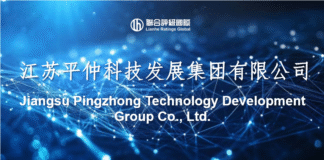 Jiangsu Pingzhong Technology Development Group Co., Ltd. (Rating Report)