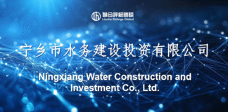 Ningxiang Water Construction and Investment Co.,Ltd. (Rating Report)