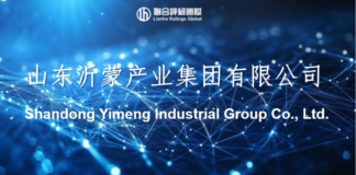 Shandong Yimeng Industrial Group Co., Ltd. (Rating Report)